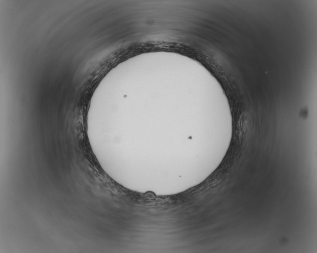 X0000116481062201001061115