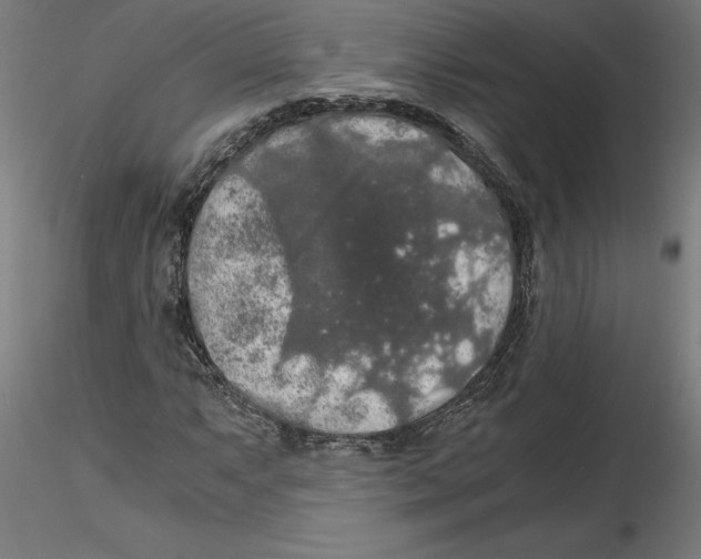 X0000116481063201001061115