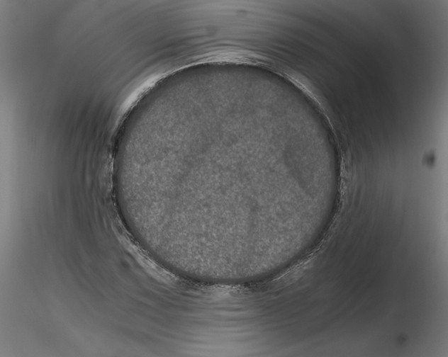 X0000116481067201001061115