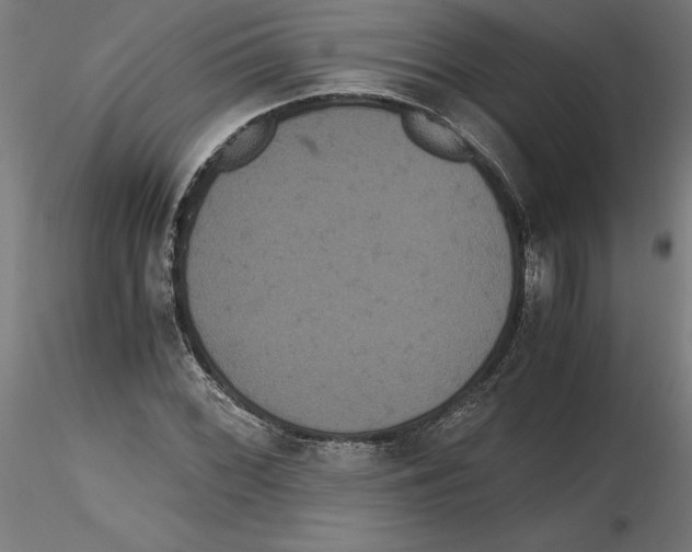 X0000116481068201001061115