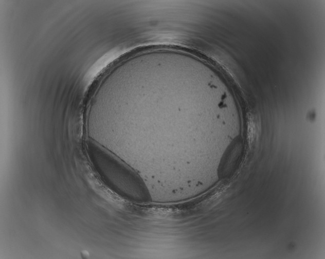 X0000116481069201001061115