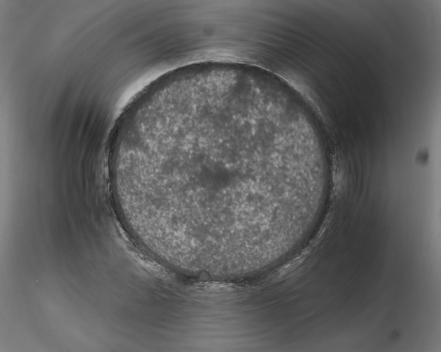 X0000116481070201001061115