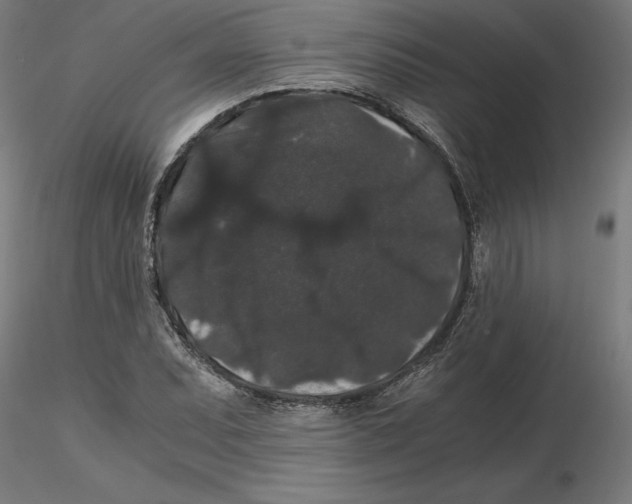 X0000116481071201001061115