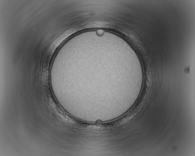 X0000116481073201001061115