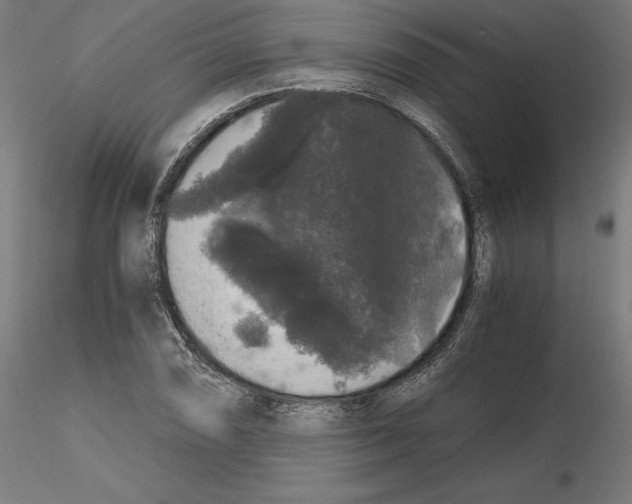 X0000116481074201001061115