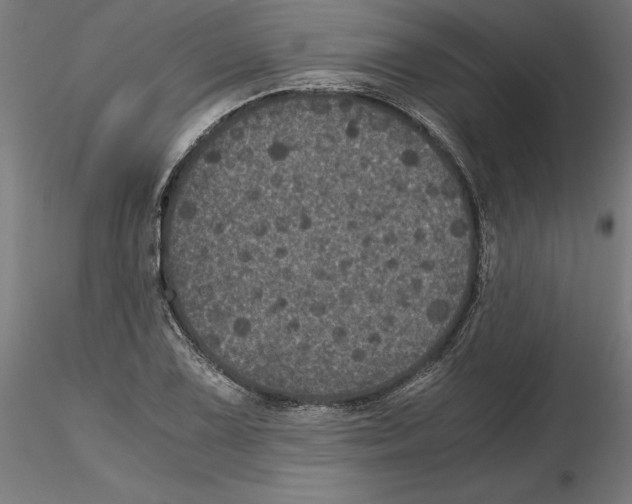 X0000116481075201001061115