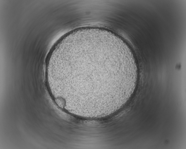 X0000116481079201001061115