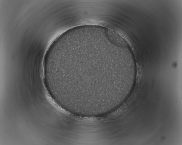 X0000116481080201001061115