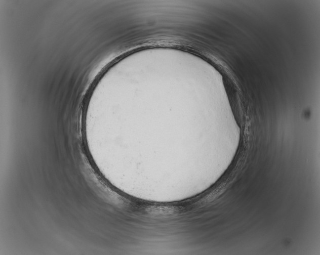 X0000116481083201001061115