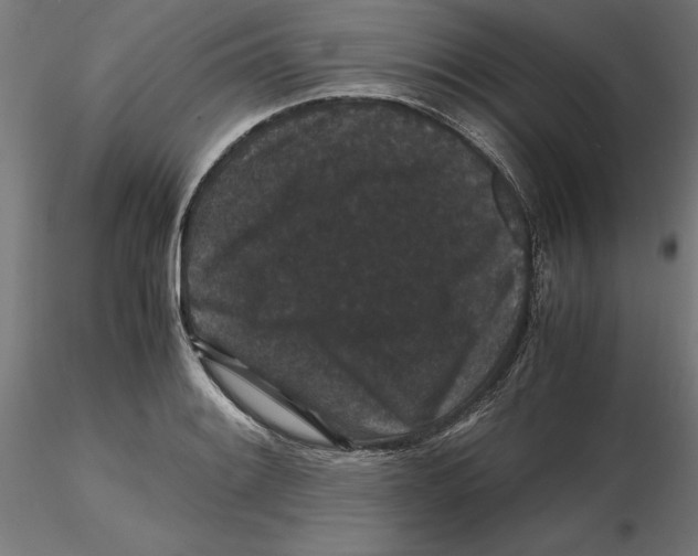 X0000116481084201001061115