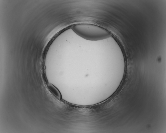 X0000116481085201001061115