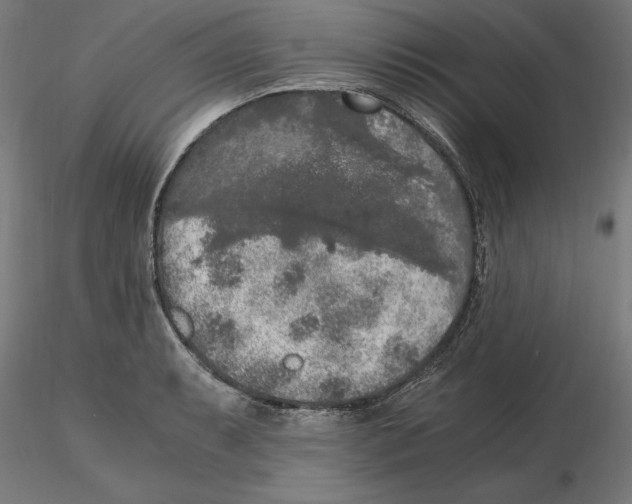 X0000116481087201001061115