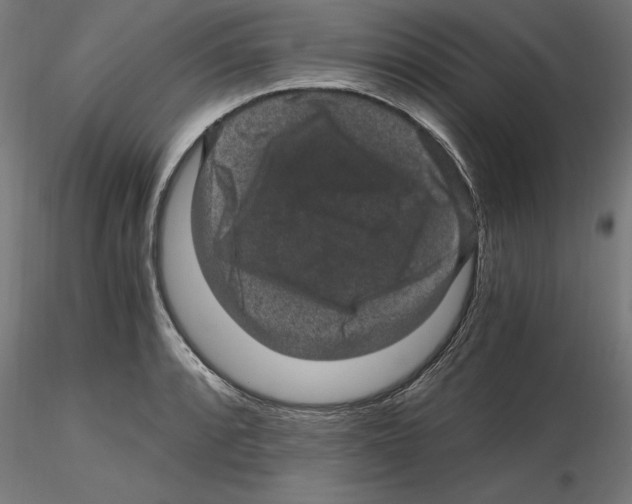 X0000116481088201001061115