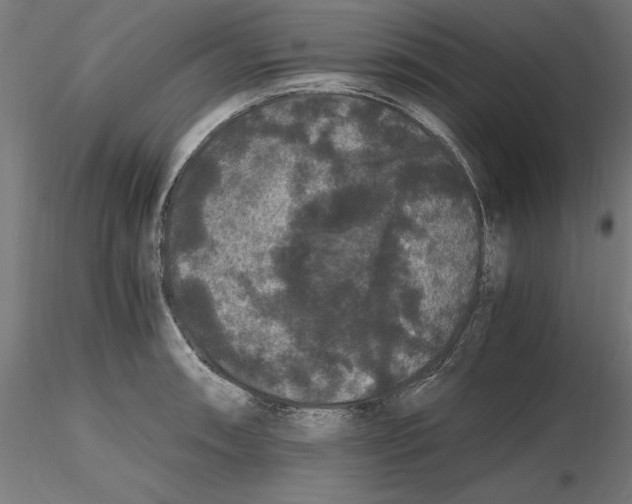 X0000116481090201001061115