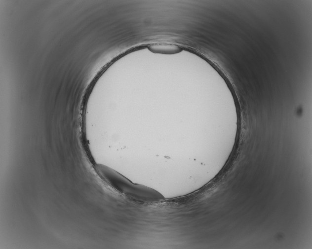 X0000116481093201001061115