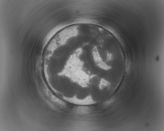 X0000116481094201001061115