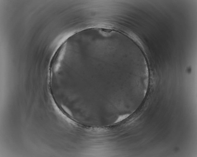 X0000116481095201001061115