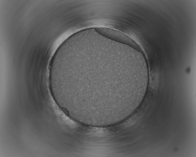 X0000116481096201001061115