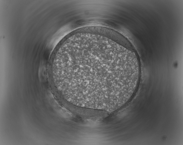 X0000116481097201001061115