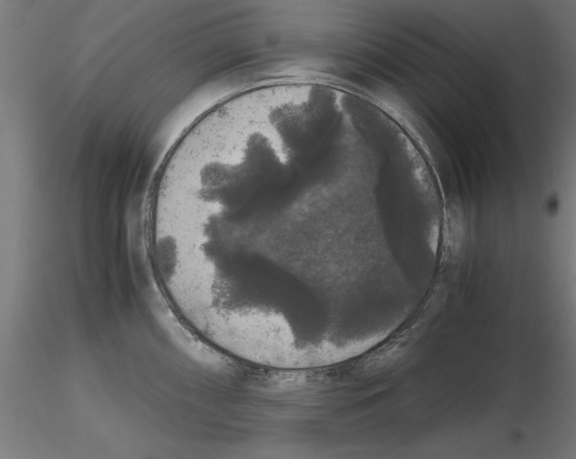 X0000116481098201001061115