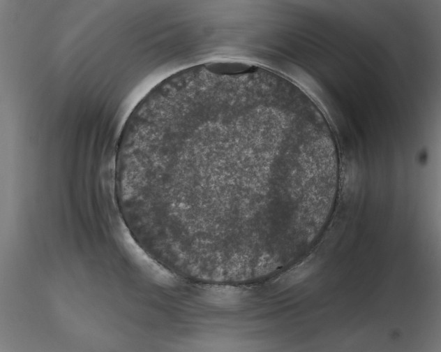 X0000116481100201001061115