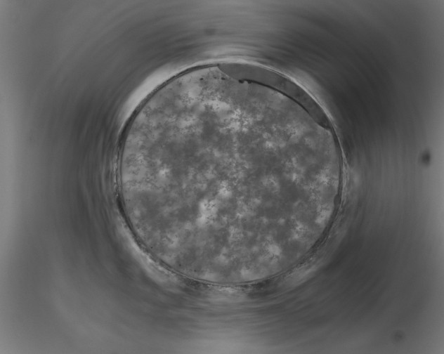 X0000116481101201001061115