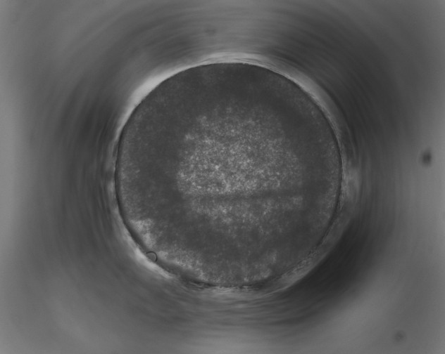 X0000116481102201001061115