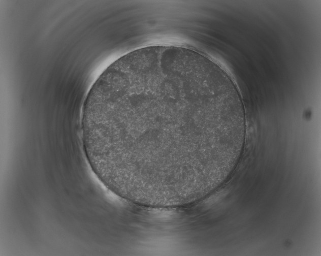 X0000116481103201001061115