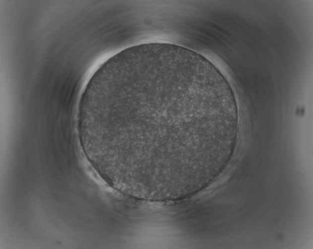 X0000116481104201001061115