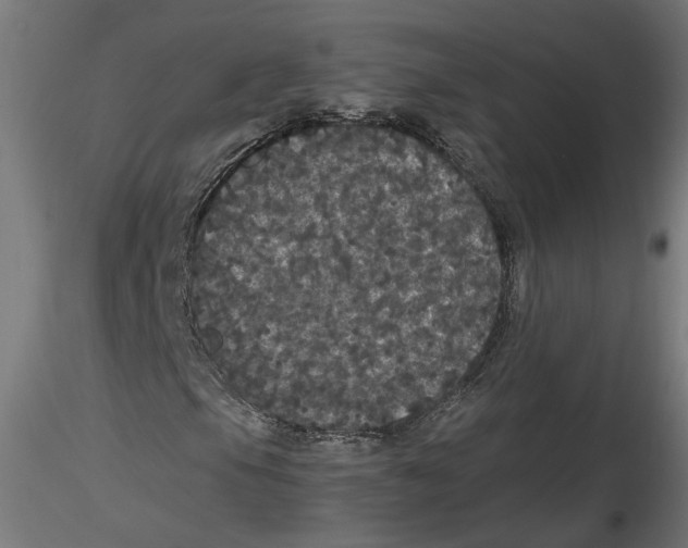 X0000116481105201001061114