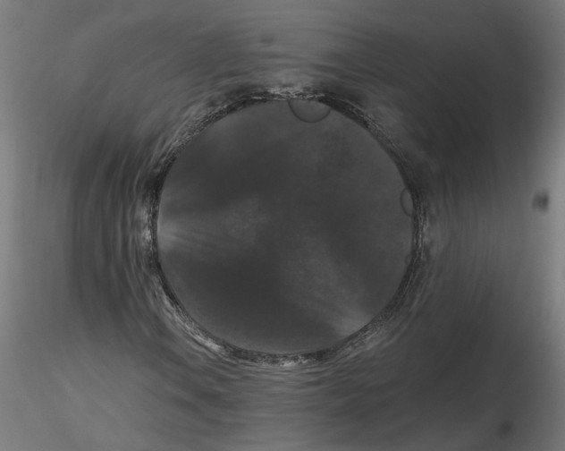 X0000116481106201001061114