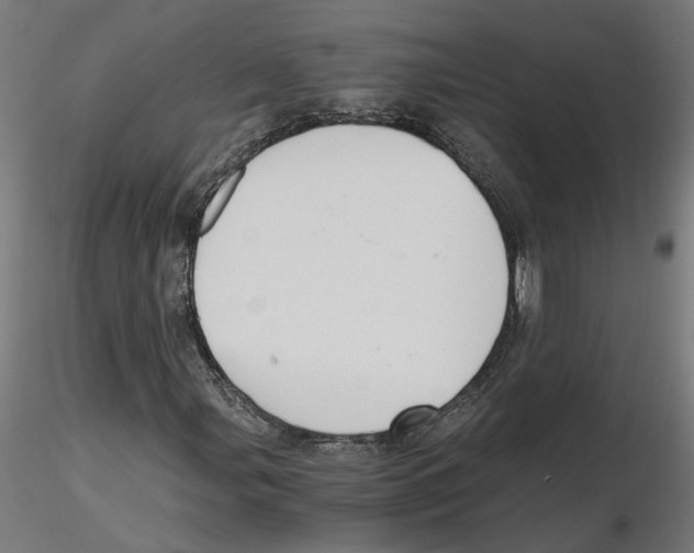 X0000116481107201001061114