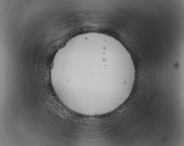 X0000116481109201001061114