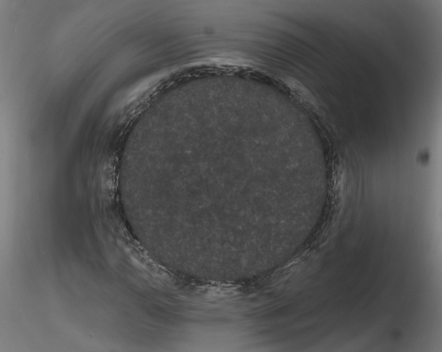 X0000116481110201001061114