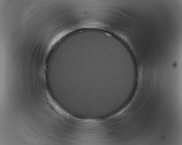 X0000116481114201001061114