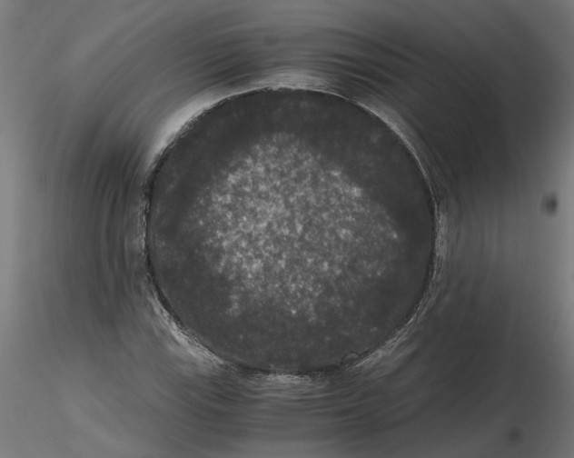 X0000116481115201001061114