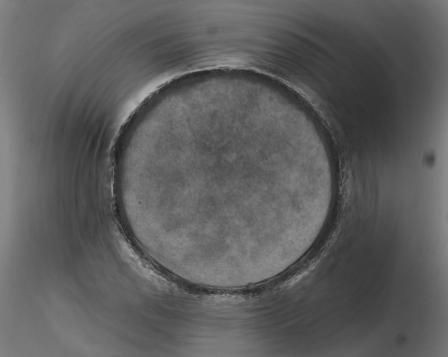 X0000116481118201001061114