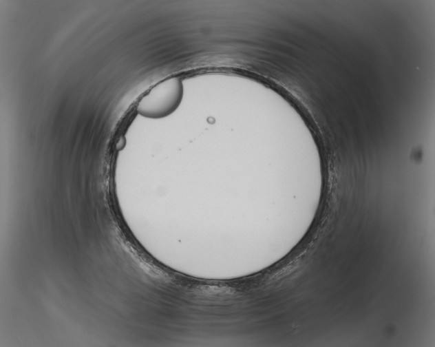 X0000116481119201001061114