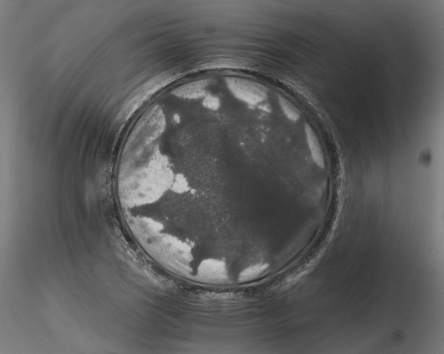 X0000116481121201001061114