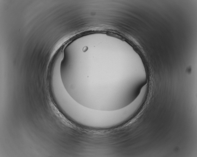 X0000116481122201001061114