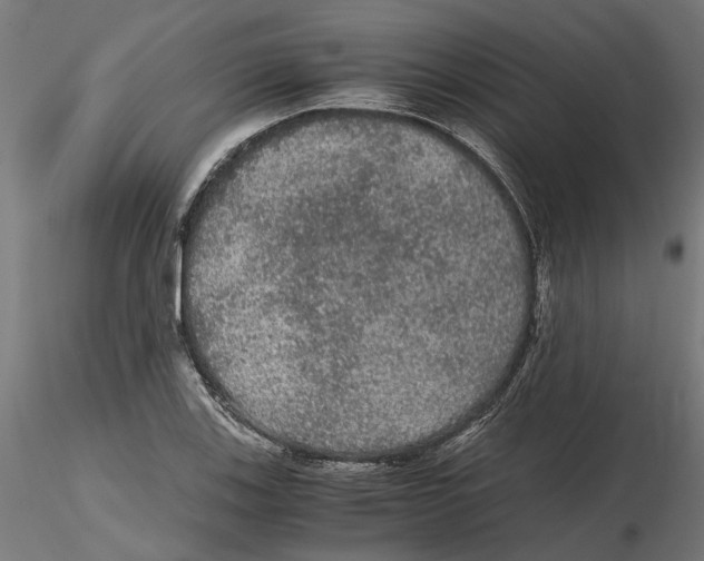 X0000116481123201001061114