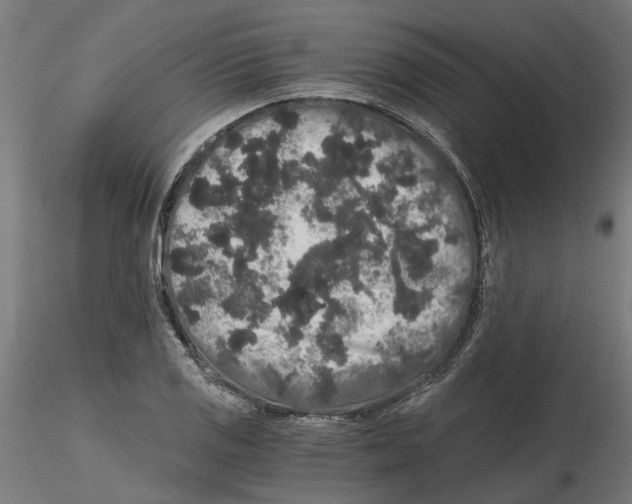 X0000116481125201001061114