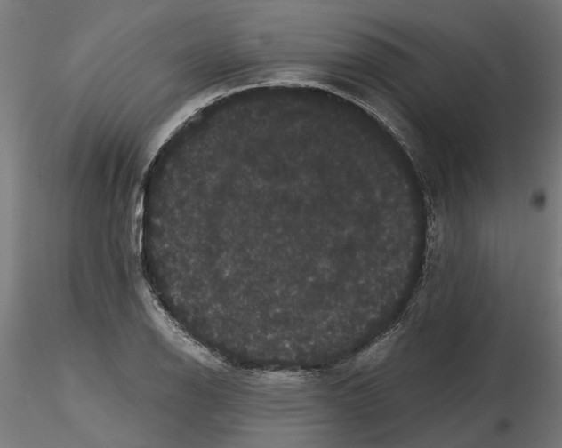 X0000116481126201001061114