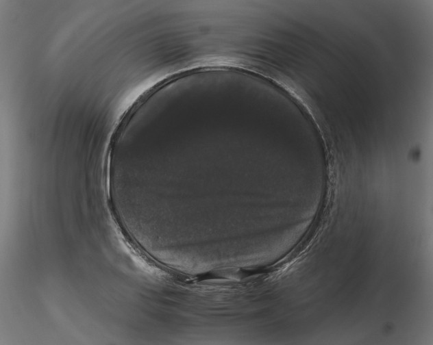 X0000116481127201001061114