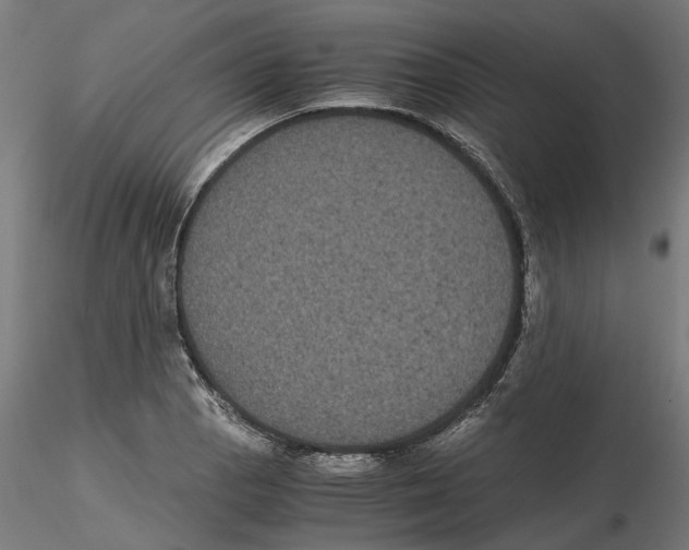 X0000116481129201001061114