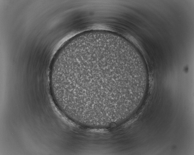 X0000116481133201001061114