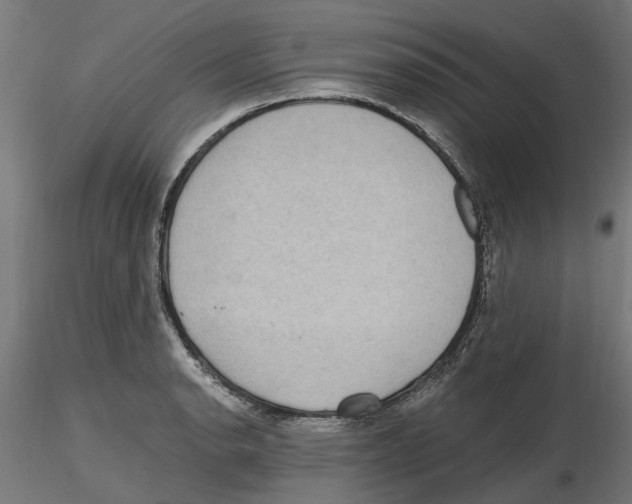 X0000116481134201001061114