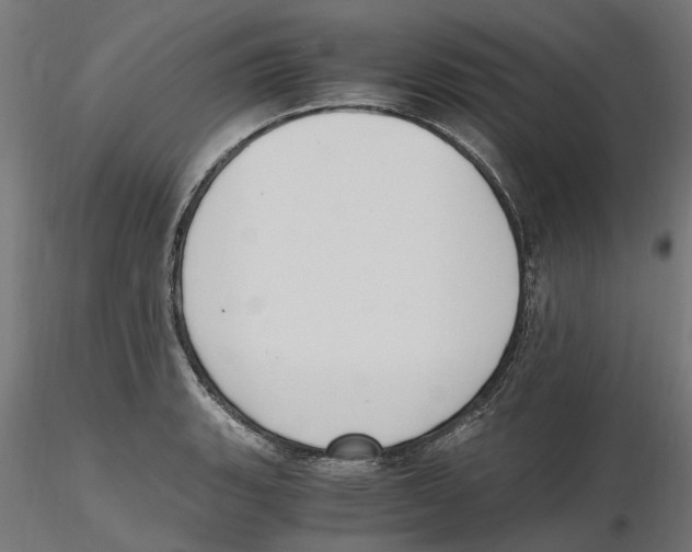 X0000116481135201001061114