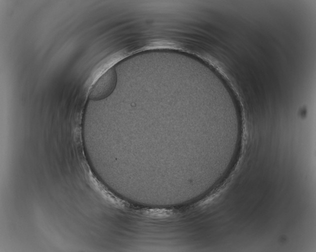 X0000116481137201001061114