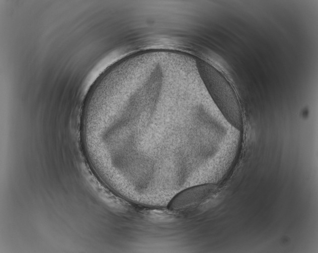 X0000116481138201001061114